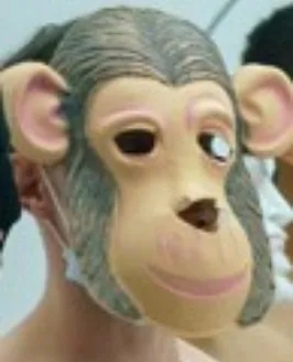 Despistao