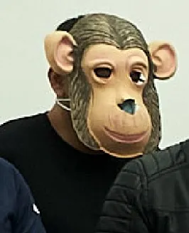 Tazmania