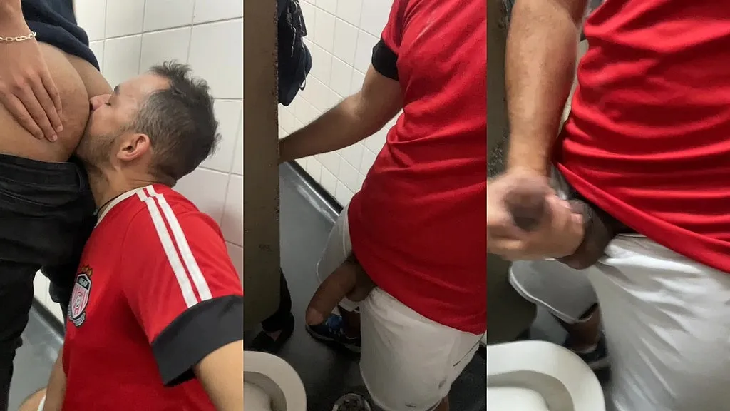 Bareback in Public Toilet: Brazilian Amateurs New Scene (HD) - Performers: X, Y, Z