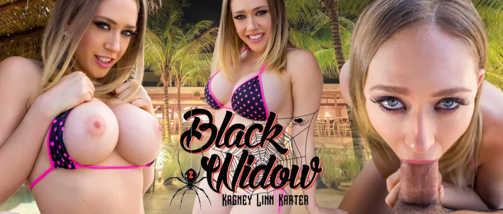 Kagney Linn Karter's VR 6K MILF Experience: Poolside Blowjob and Fingering