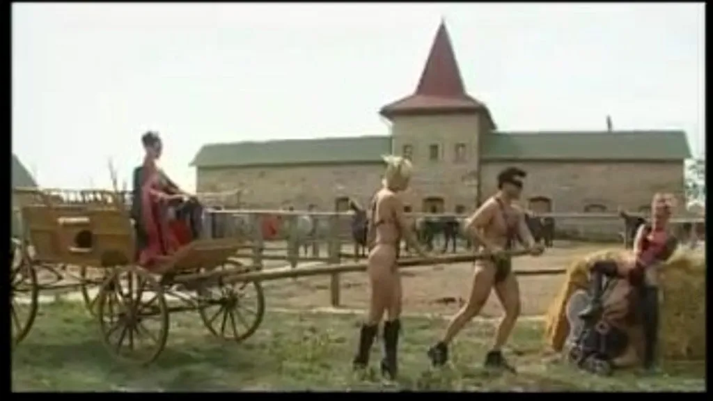 Michelle Wild, Melinda, Dina Pearl - Big Boobs Outdoor Sex: Cowgirl & Reverse Cowgirl