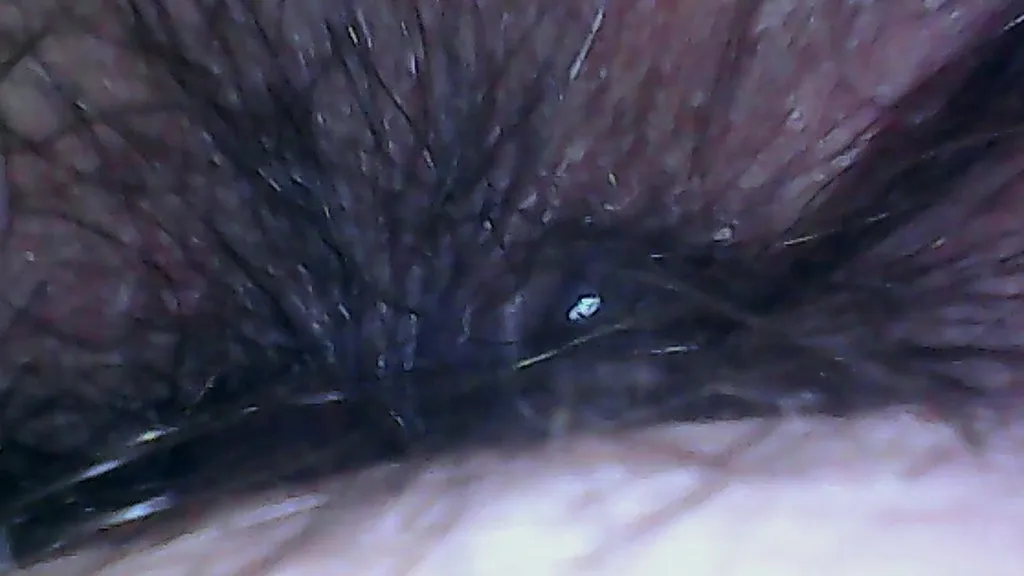 Hairy MILF Farts and Shows Off Her Big, Appetizing Ass in 4K