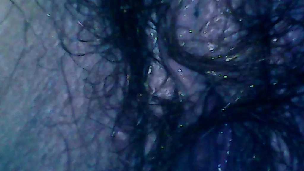HD: Big-Name Performer 1, Big-Name Performer 2, Amateur Pissing & Ass Worship
