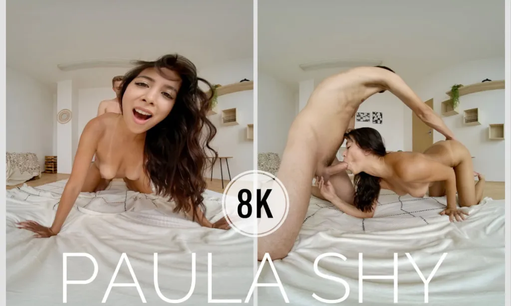 Paula Shy's Brunette Shaved Pussy in 180° Doggy Style (VR 6K)