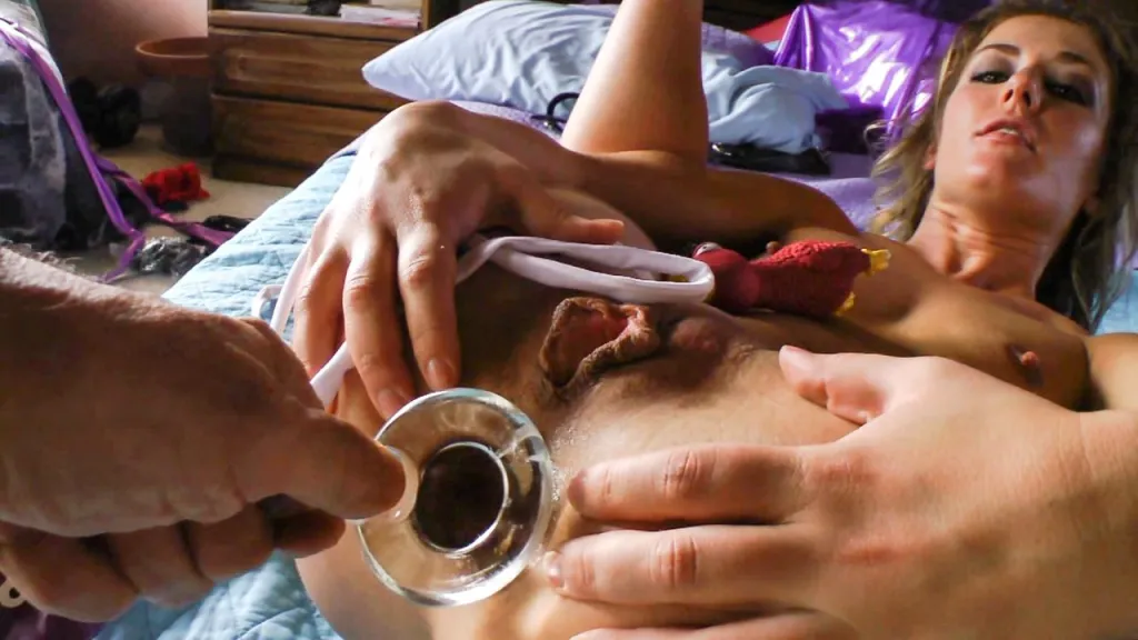 Sheena Shaw and John Stagliano - Natural Tits AnalScene (POV, HD)